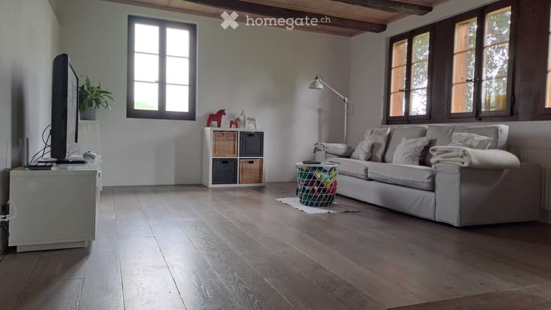 Modern living room with hardwood flooring, large windows, grey sofa, coffee table, storage unit, floor lamp, TV, and decorative items.