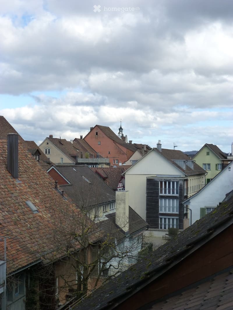 A view of a residential neighborhood with multiple houses featuring tiled roofs, chimneys, and various architectural styles under a partly cloudy sky.