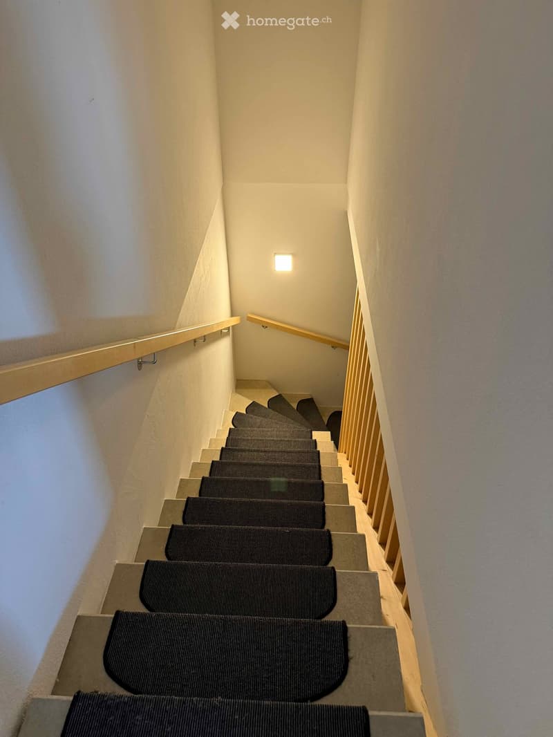 Spiral staircase with dark carpeted steps and wooden handrails, illuminated by a small ceiling light.