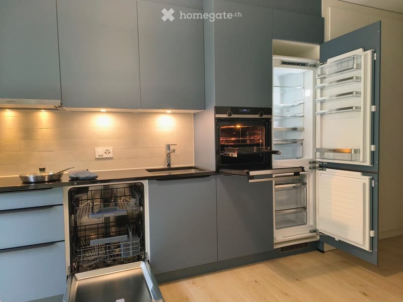 Modern kitchen, gray cabinets, dishwasher, refrigerator, stove, sink, countertop, power outlet, stainless steel pot, wooden floor