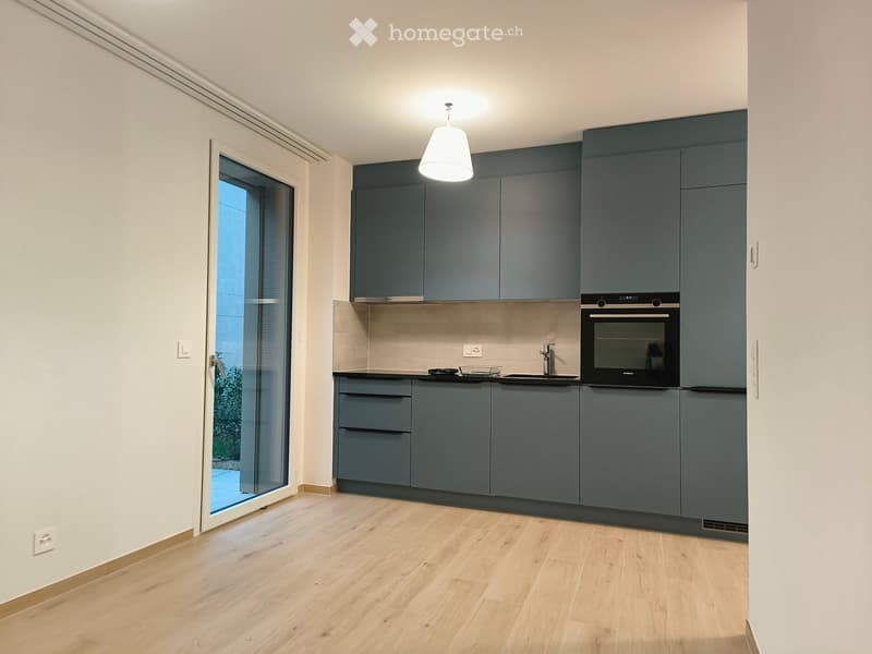 modern kitchen, blue cabinets, wooden floor, open door, dishwasher, electric oven