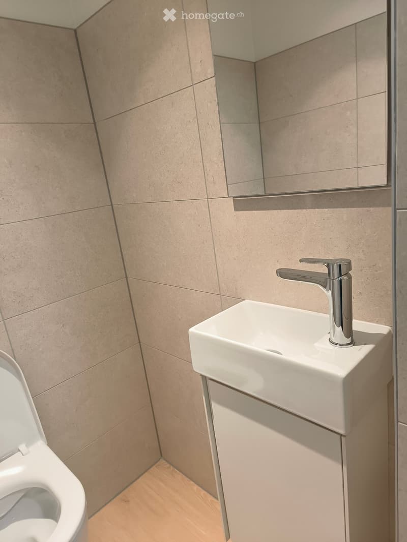 Tiled walls, white sink with silver faucet, mirror, white toilet
