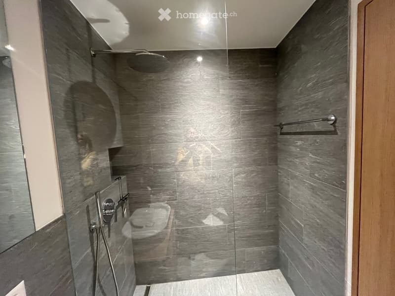 Modern bathroom with grey marble tiles, glass shower enclosure, and a handheld showerhead.