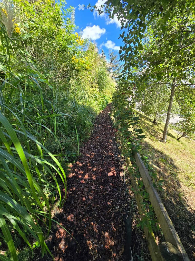 A narrow, mulched garden path surrounded by lush greenery and trees, with a clear blue sky overhead.