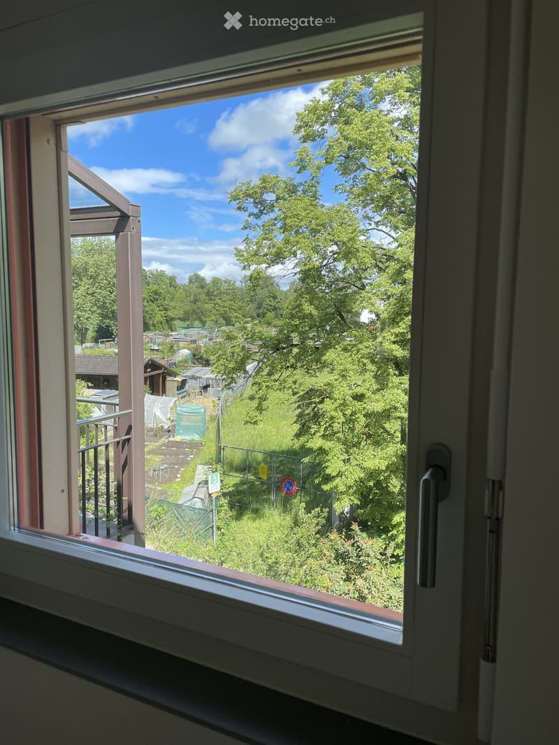 View from a balcony showing a green, overgrown area with trees, a fence, and a small structure in the distance.