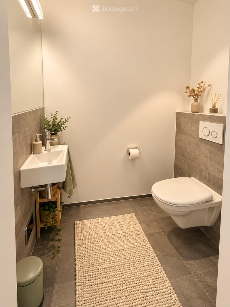 Modern bathroom with a white sink, chrome faucet, toilet, and a woven bathroom rug. Includes a towel, soap dispenser, and decorative plants on shelves.