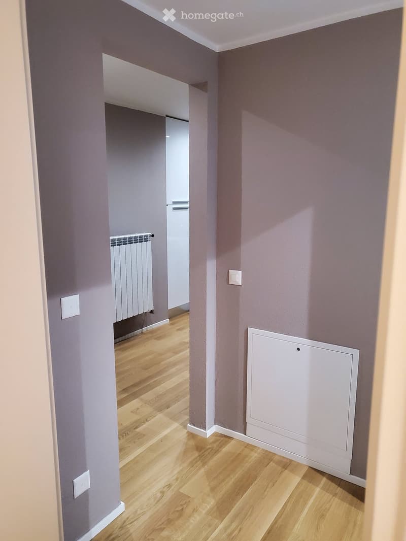 Empty hallway with light purple walls, wooden flooring, and white radiators on both sides.