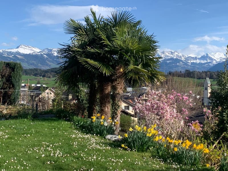 Garden with a palm tree, colorful flowers, and a view of snow-capped mountains in the background.