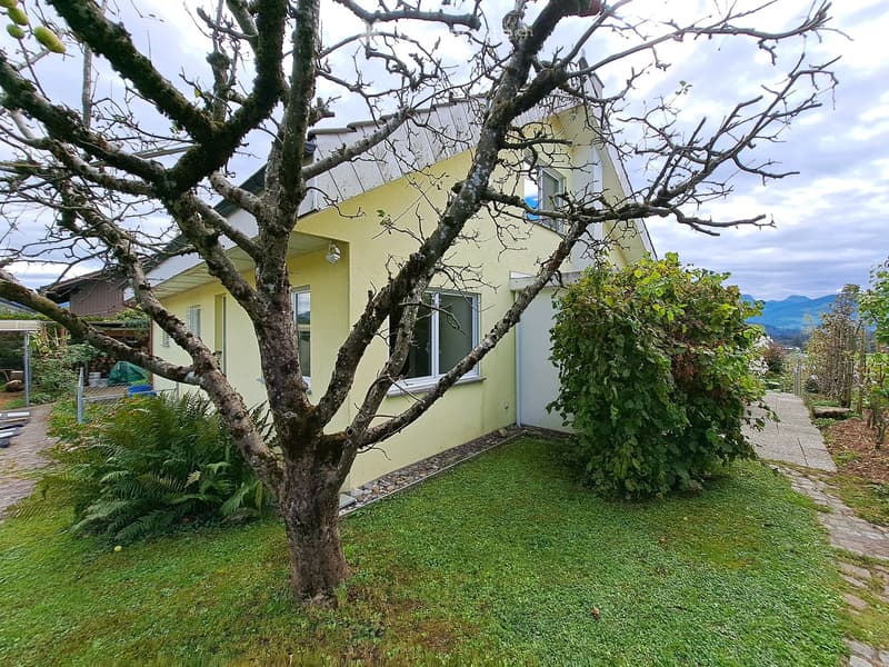 A small garden area with a tree, grass, and a pathway leading to a yellow house with white trim and multiple windows.