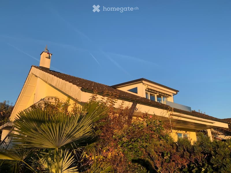 Two-story yellow house with a chimney, surrounded by greenery and palm-like plants.