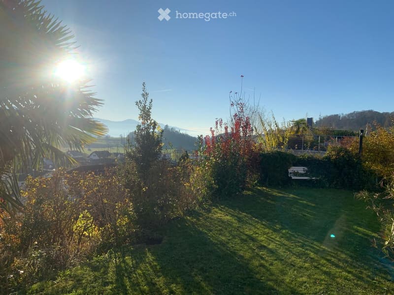Well-maintained garden with green grass, various shrubs, and trees, featuring a clear blue sky and distant hills.