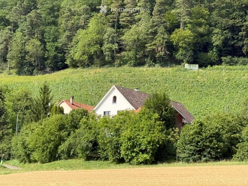 A white single-story house with a red-tiled roof, surrounded by lush greenery and fields.