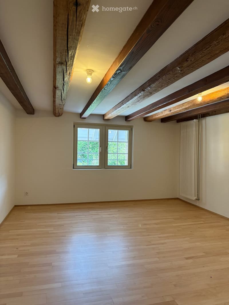 Atelierhaus Rumstal - 6.5 Zimmer-Wohnung im Grünen (19)