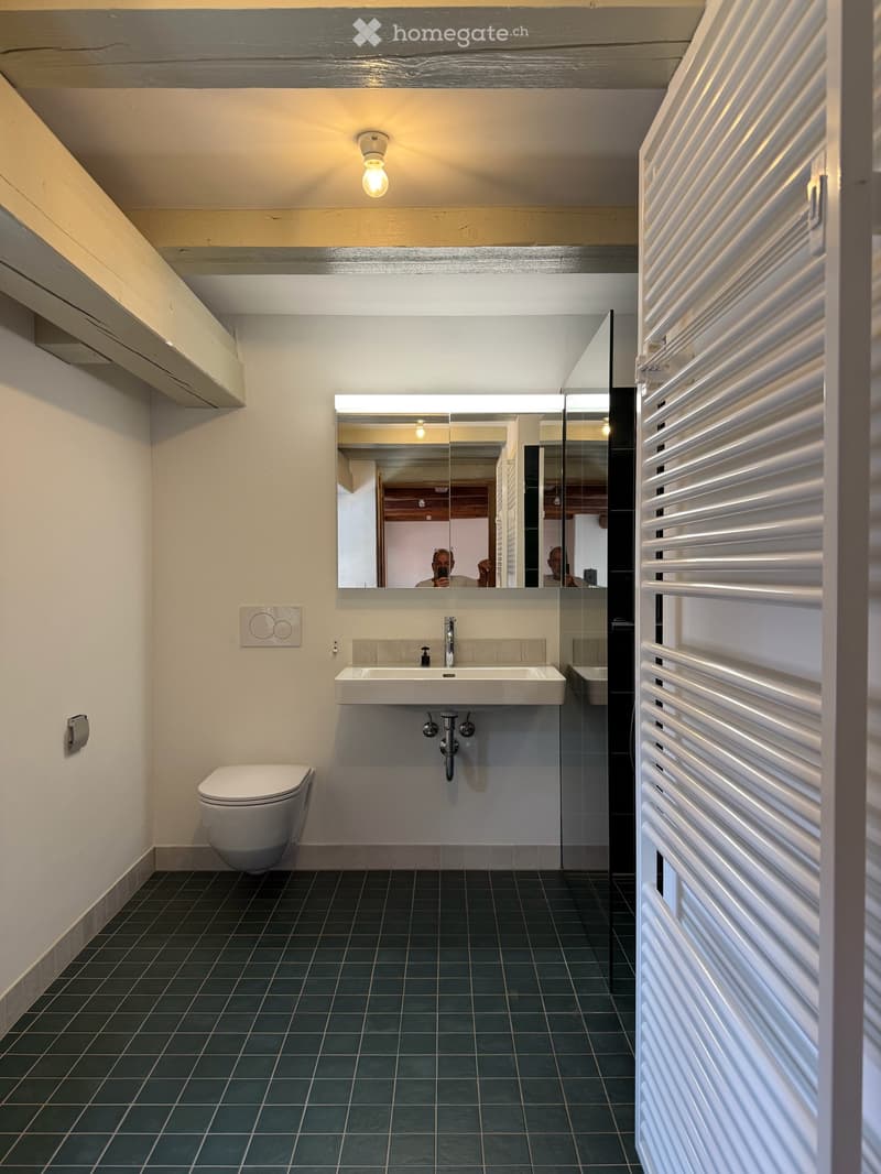Atelierhaus Rumstal - 6.5 Zimmer-Wohnung im Grünen (20)