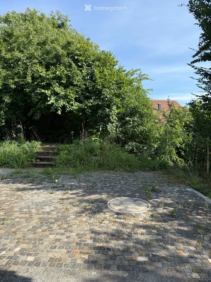 Atelierhaus Rumstal - 6.5 Zimmer-Wohnung im Grünen (31)