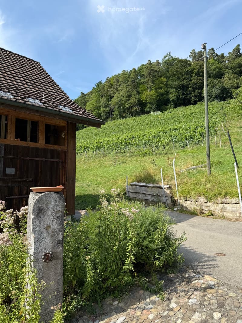 Atelierhaus Rumstal - 6.5 Zimmer-Wohnung im Grünen (36)