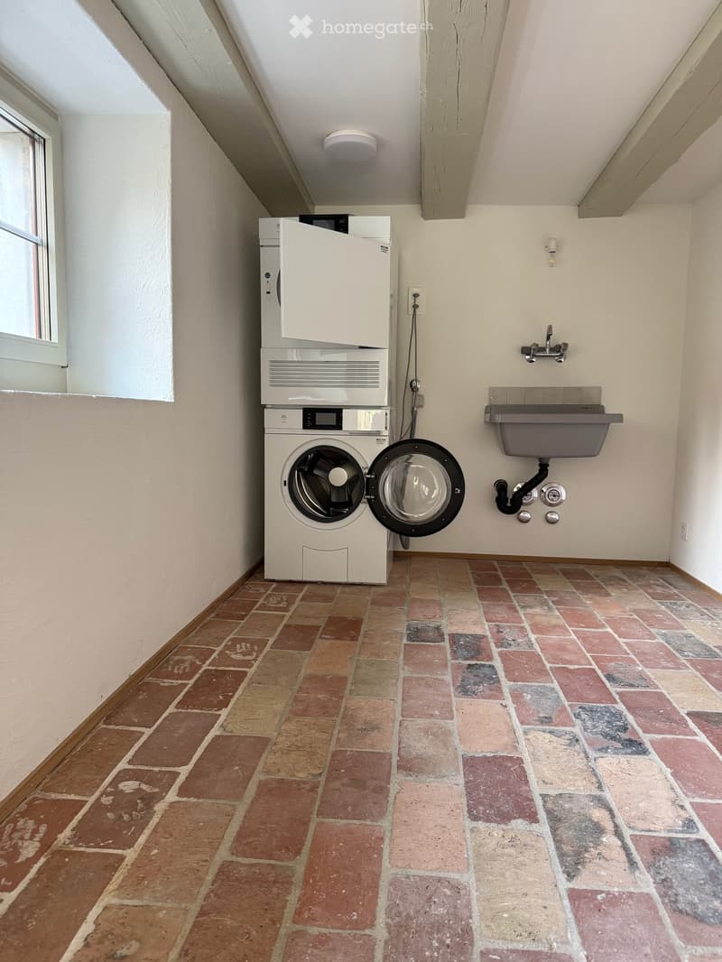 Atelierhaus Rumstal - 6.5 Zimmer-Wohnung im Grünen (14)