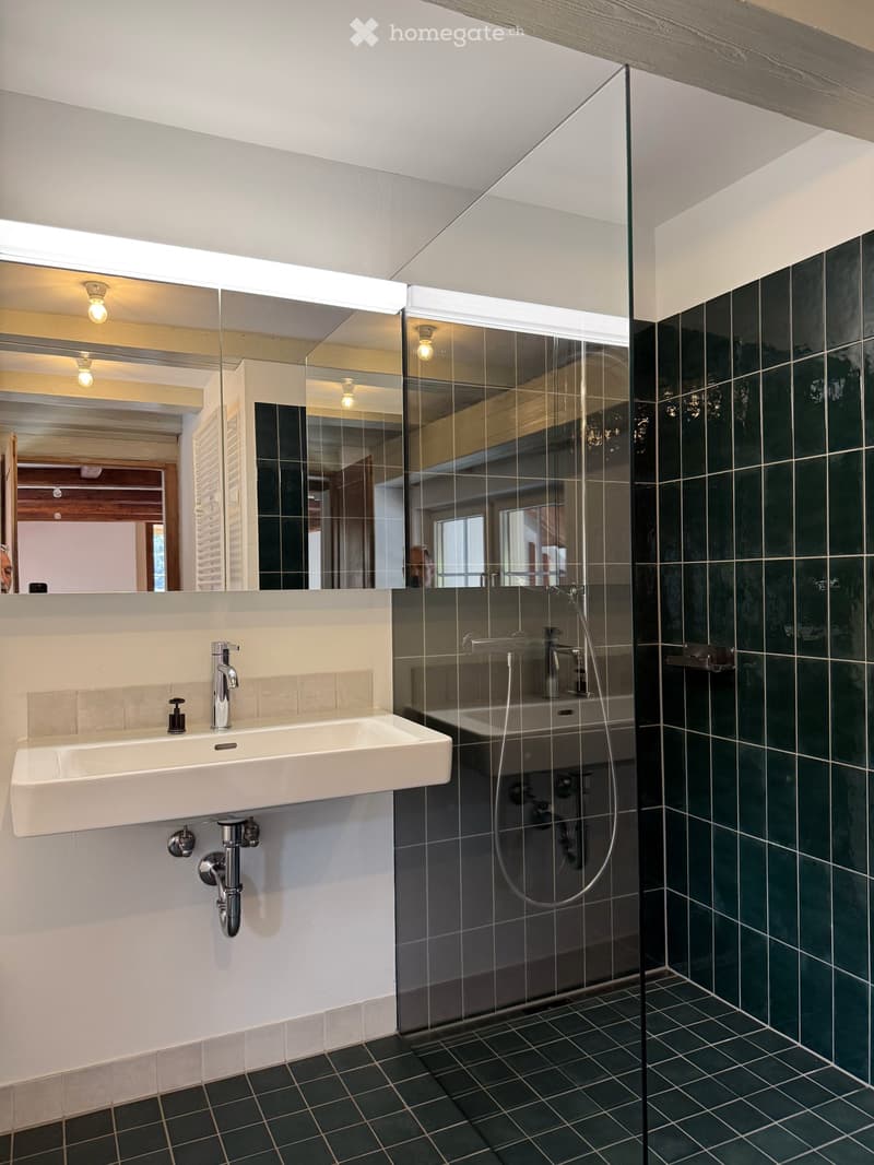 Atelierhaus Rumstal - 6.5 Zimmer-Wohnung im Grünen (21)