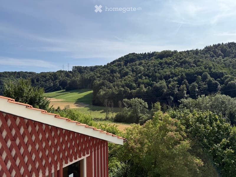 View from a balcony or terrace showing a rural landscape with fields, trees, and hills under a clear sky.