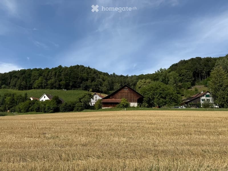 Rural landscape with a field of golden crops, several houses including a traditional wooden barn, surrounded by lush green trees and hills under a clear blue sky.
