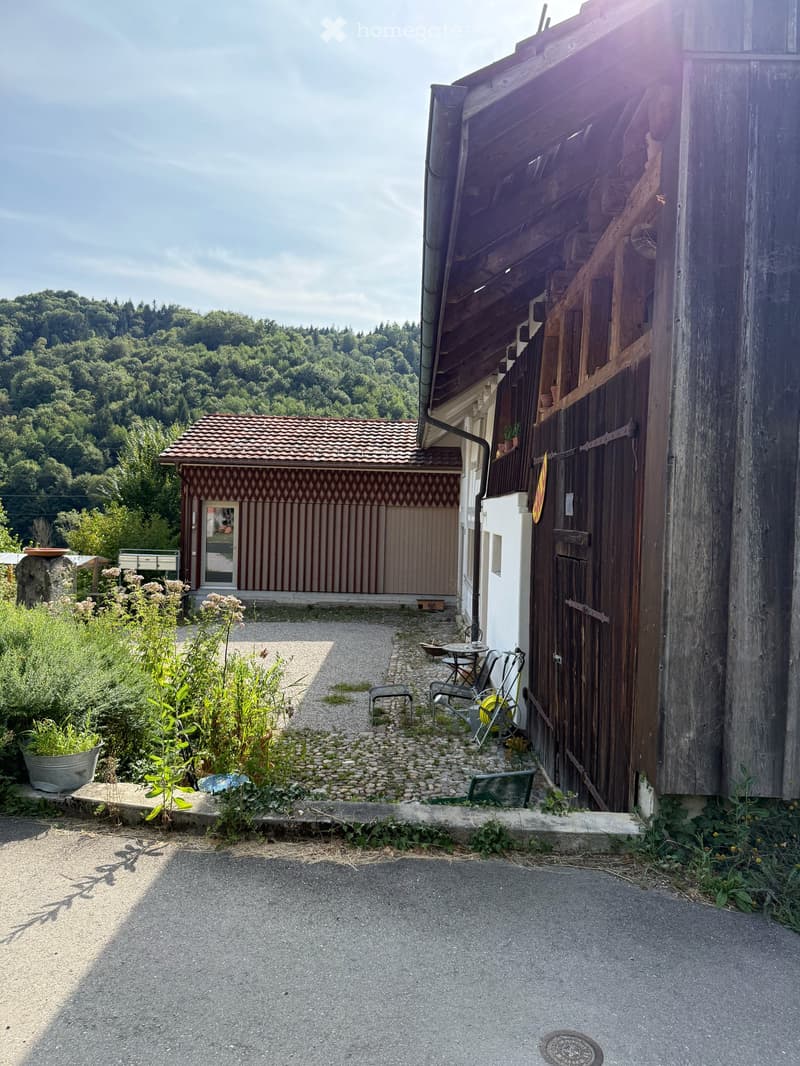Atelierhaus Rumstal - 6.5 Zimmer-Wohnung im Grünen (2)