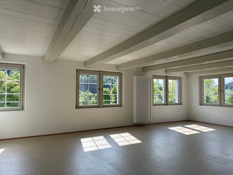 Empty room with white walls, wooden ceiling beams, multiple windows, and a radiator. No furniture or equipment present.