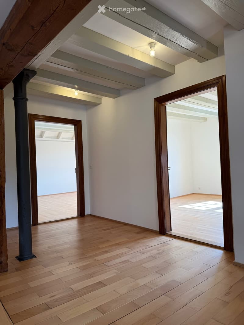Atelierhaus Rumstal - 6.5 Zimmer-Wohnung im Grünen (16)