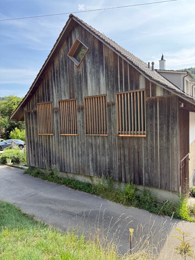 Atelierhaus Rumstal - 6.5 Zimmer-Wohnung im Grünen (37)