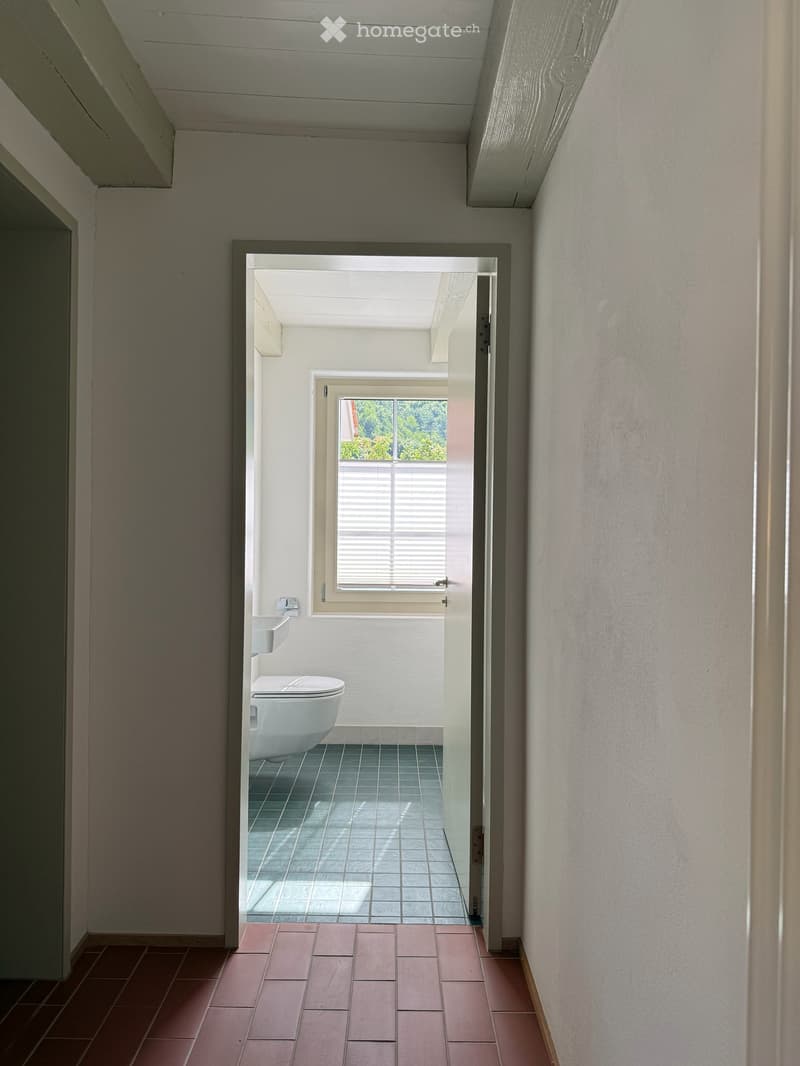 Atelierhaus Rumstal - 6.5 Zimmer-Wohnung im Grünen (13)