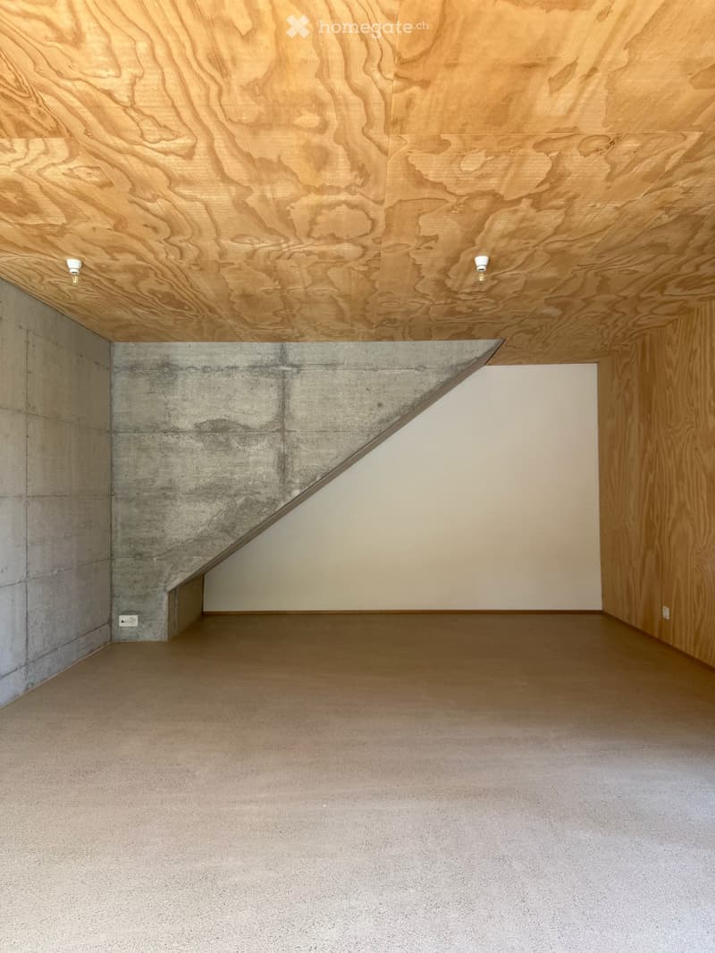 Atelierhaus Rumstal - 6.5 Zimmer-Wohnung im Grünen (27)