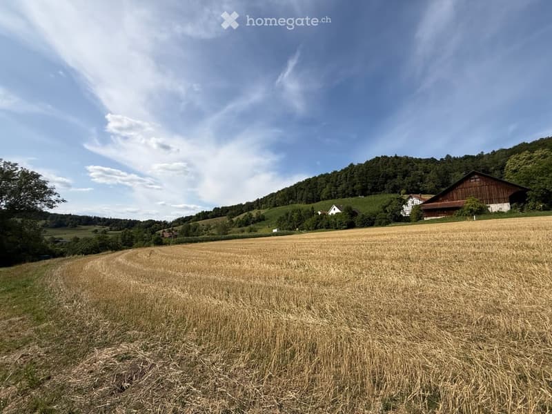 Rural landscape with a harvested field, scattered trees, and a few houses in the background under a partly cloudy sky.