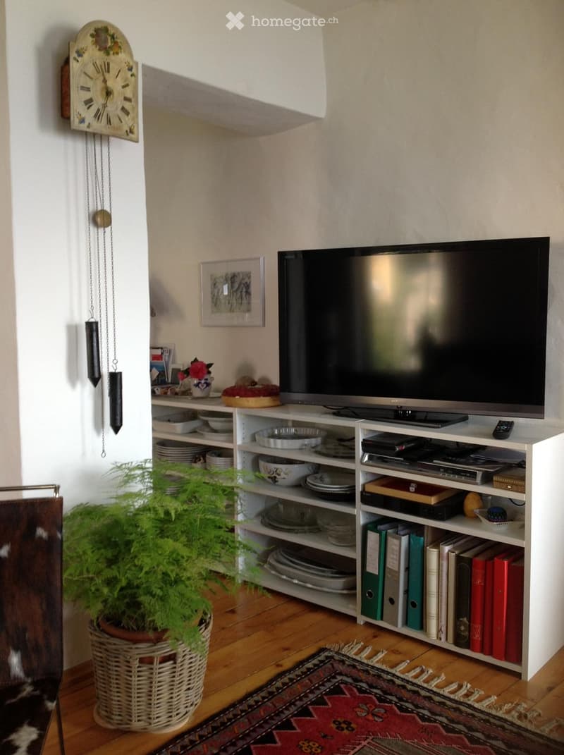 A cozy living room with a television on a white shelf, a decorative clock, a potted plant, and a colorful rug on the wooden floor.
