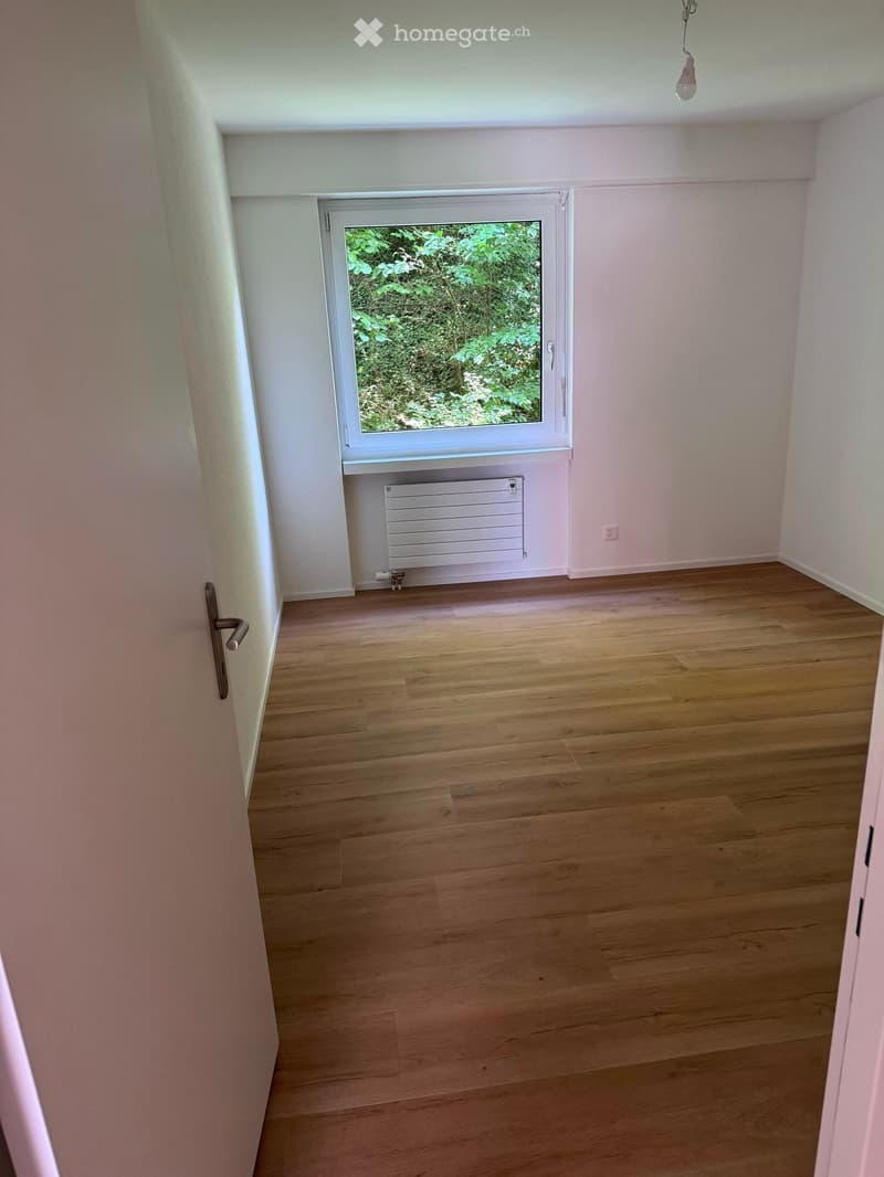 Empty room with wooden flooring, white walls, a window with a view of greenery, a radiator, and a door handle visible.
