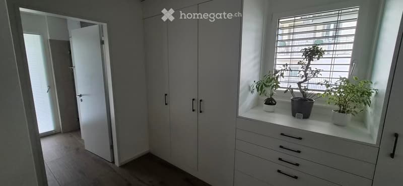 Empty room with white walls, wooden floor, built-in white wardrobe with drawers, and a window sill with three potted plants.