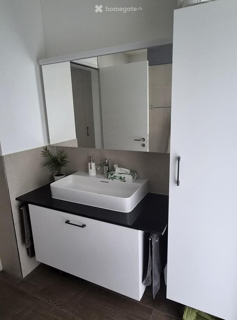 Modern bathroom with a white sink, black countertop, mirrored cabinet, and a small potted plant on the counter.
