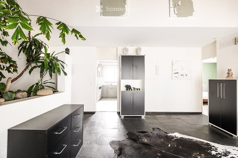 Modern, minimalist living space with dark wood flooring, sleek black cabinets, a large plant, and a cowhide rug.