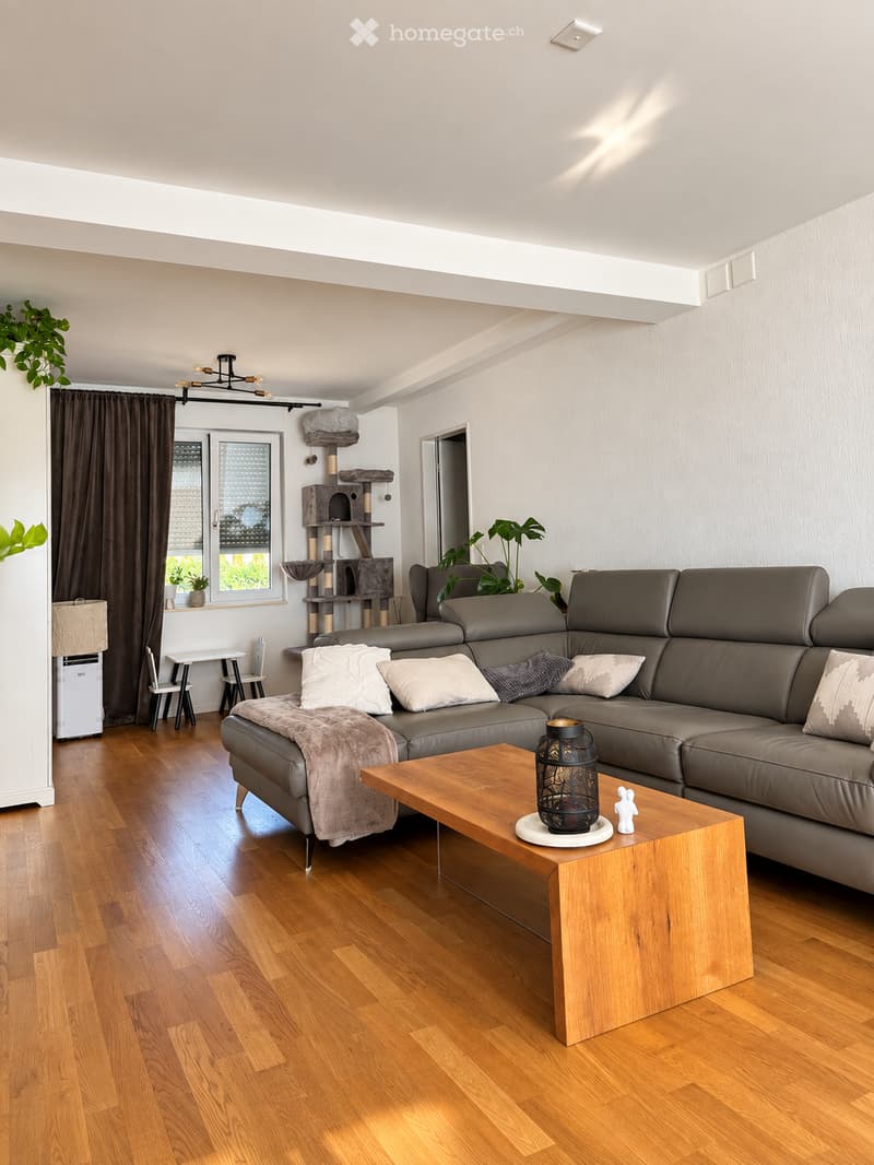Modern living room with a grey sectional sofa, wooden coffee table, cat tree, and decorative items. The room features wooden flooring, large windows with blinds, and a cozy atmosphere.