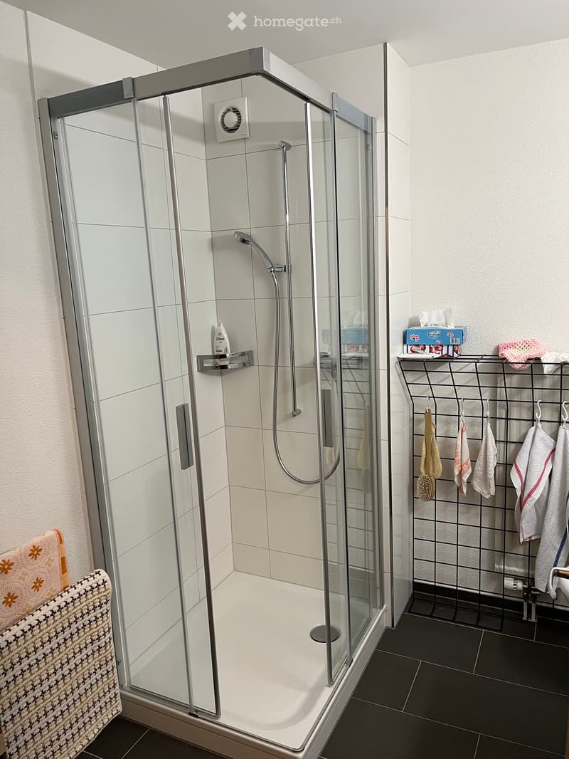 Modern bathroom with a glass-enclosed shower, towel rack with towels, and a bottle of shower gel on the shelf inside the shower.