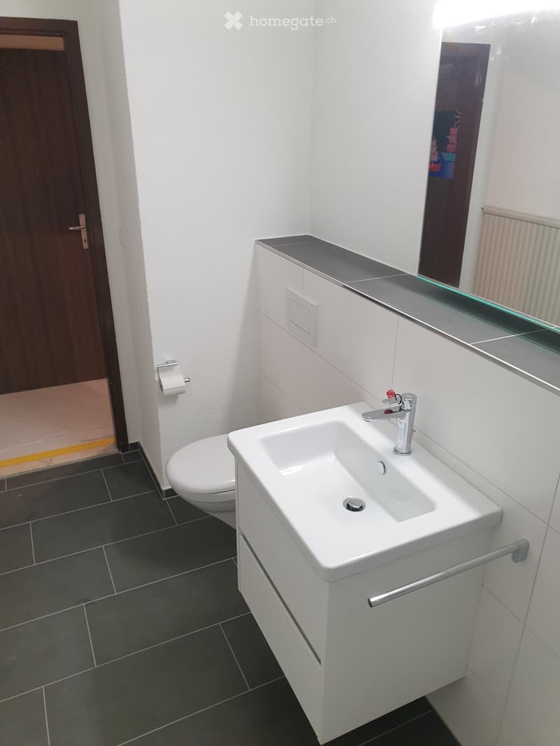 Modern bathroom with white tiles, a white sink with a chrome faucet, a large mirror, a toilet, and a toilet paper holder. The floor is covered with dark grey tiles.