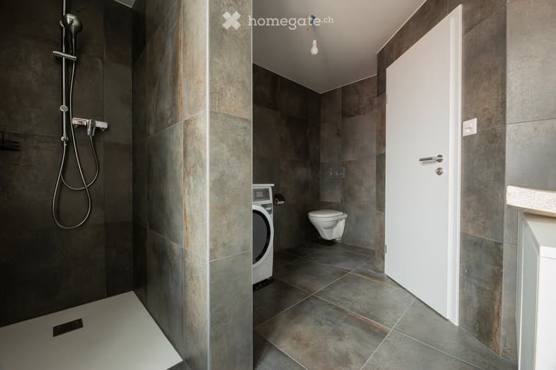 Modern bathroom with a separate shower area and a toilet compartment. Features include a dark tiled shower wall, a white washing machine, and a sleek, contemporary design.