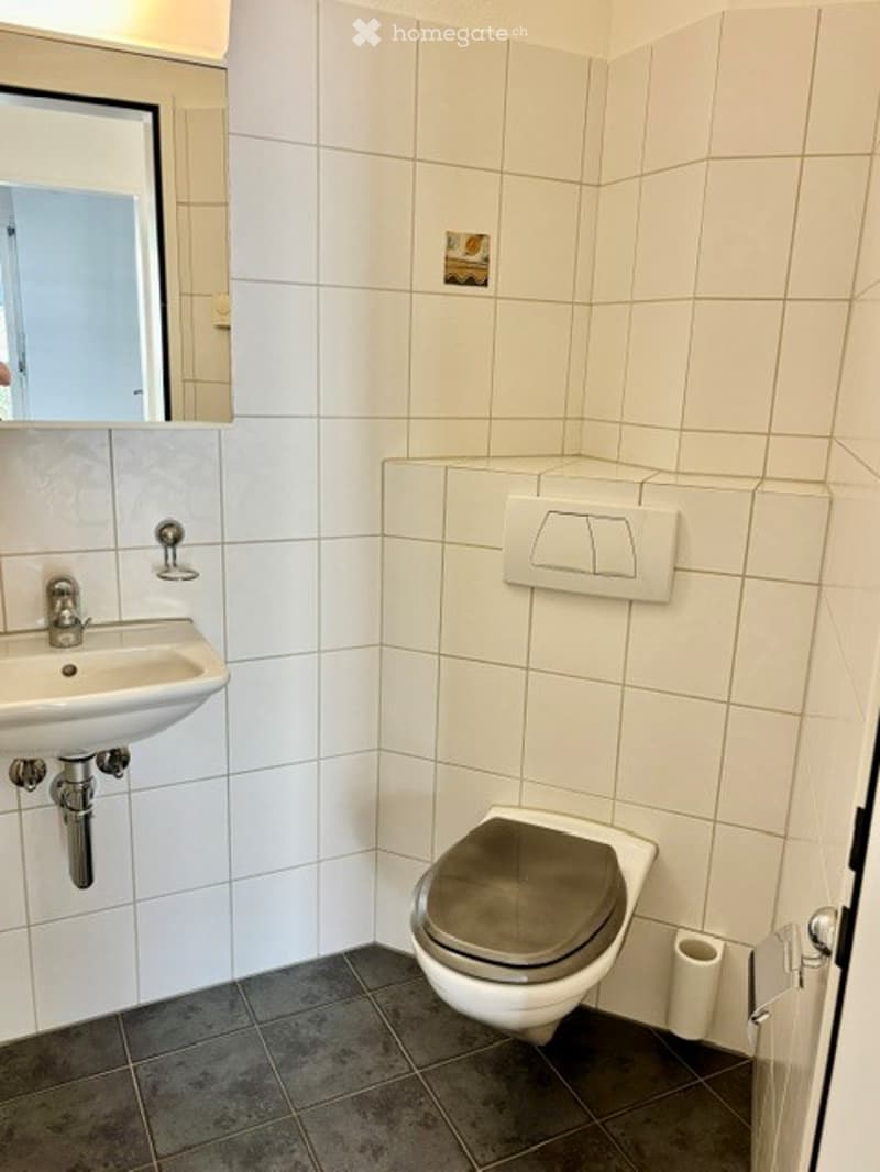 Modern bathroom with white tiled walls and floor, featuring a white sink with chrome faucet, a toilet with a grey seat, and a mirror above the sink.