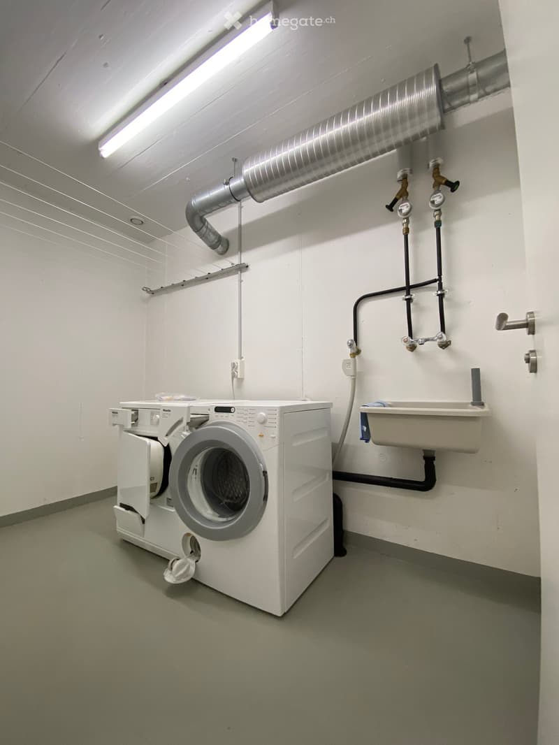 A clean, well-lit utility room with a white washing machine and a sink, featuring exposed pipes and a fluorescent light fixture on the ceiling.