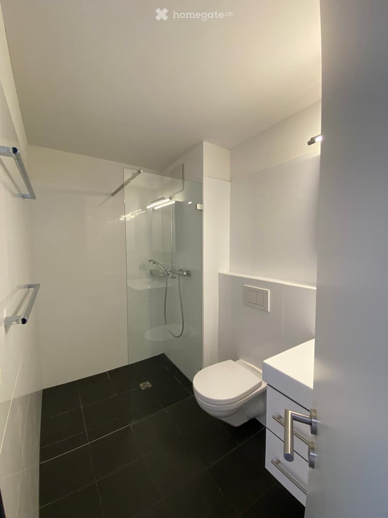 Modern bathroom with black tiled floor, white walls, glass-enclosed shower, toilet, and sink with chrome handles.