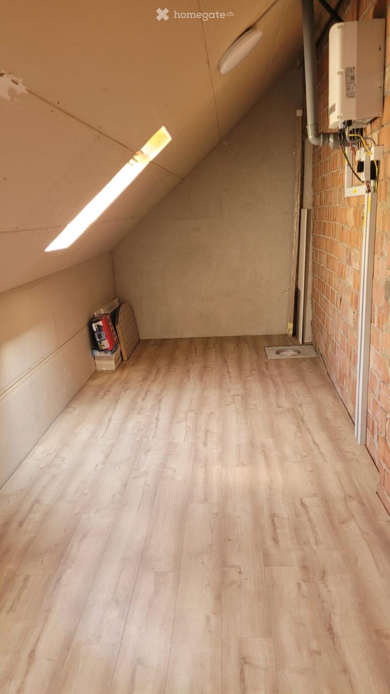 Empty attic space with wooden flooring, exposed brick wall, and skylight window allowing natural light.