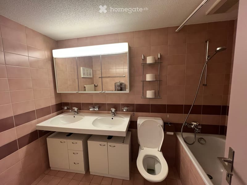 Bathroom with double sink, toilet, bathtub, mirror, and shelves for toiletries.