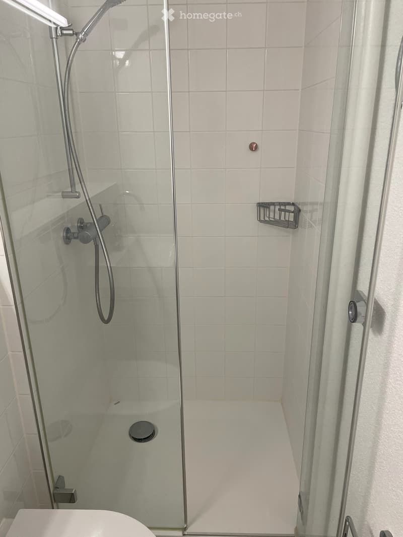 Gemütliches 1-Zimmer-Apartment in der beliebten Längasse (5)
