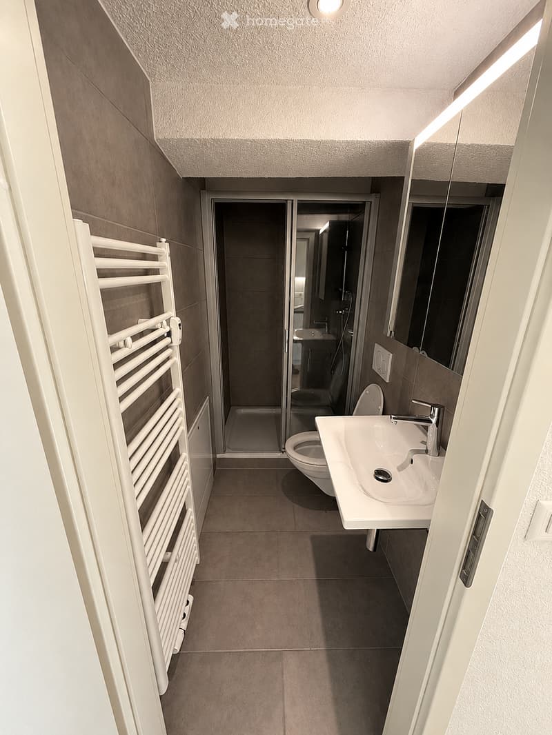 Modern bathroom with a white sink, chrome faucet, toilet, glass-enclosed shower, and a white radiator on the left side.