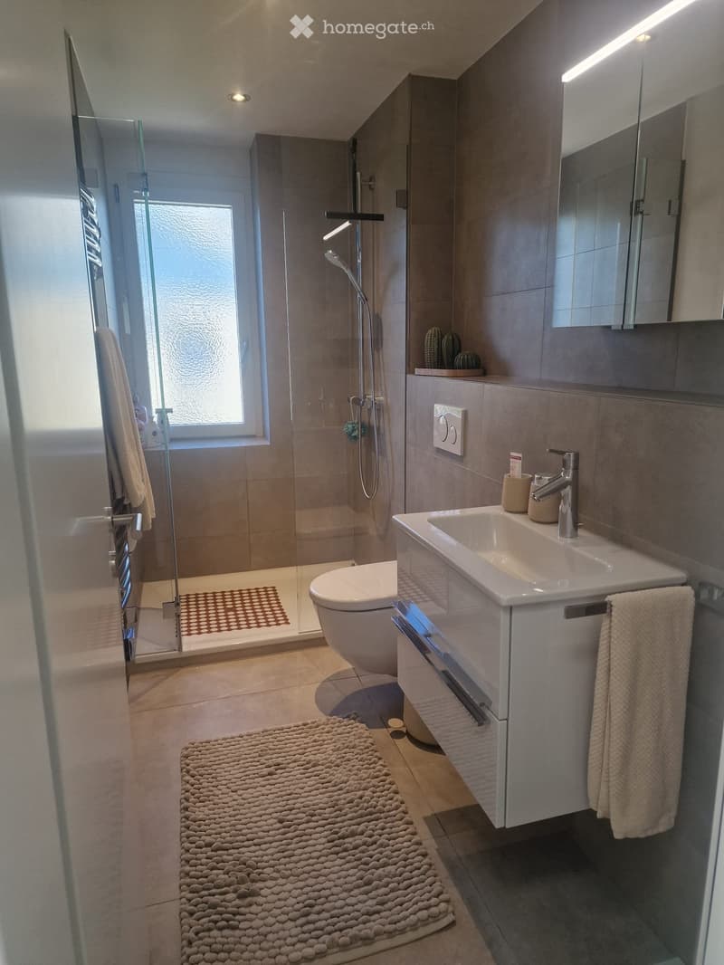Modern bathroom with a white sink, toilet, glass-enclosed shower, and a large mirror. Beige tiles and a woven rug are visible.