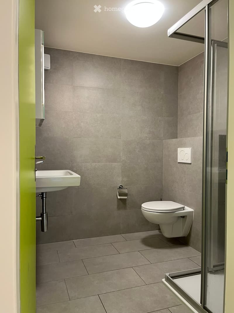 Modern bathroom with grey tiled walls and floor, white toilet, sink, and a glass shower enclosure.
