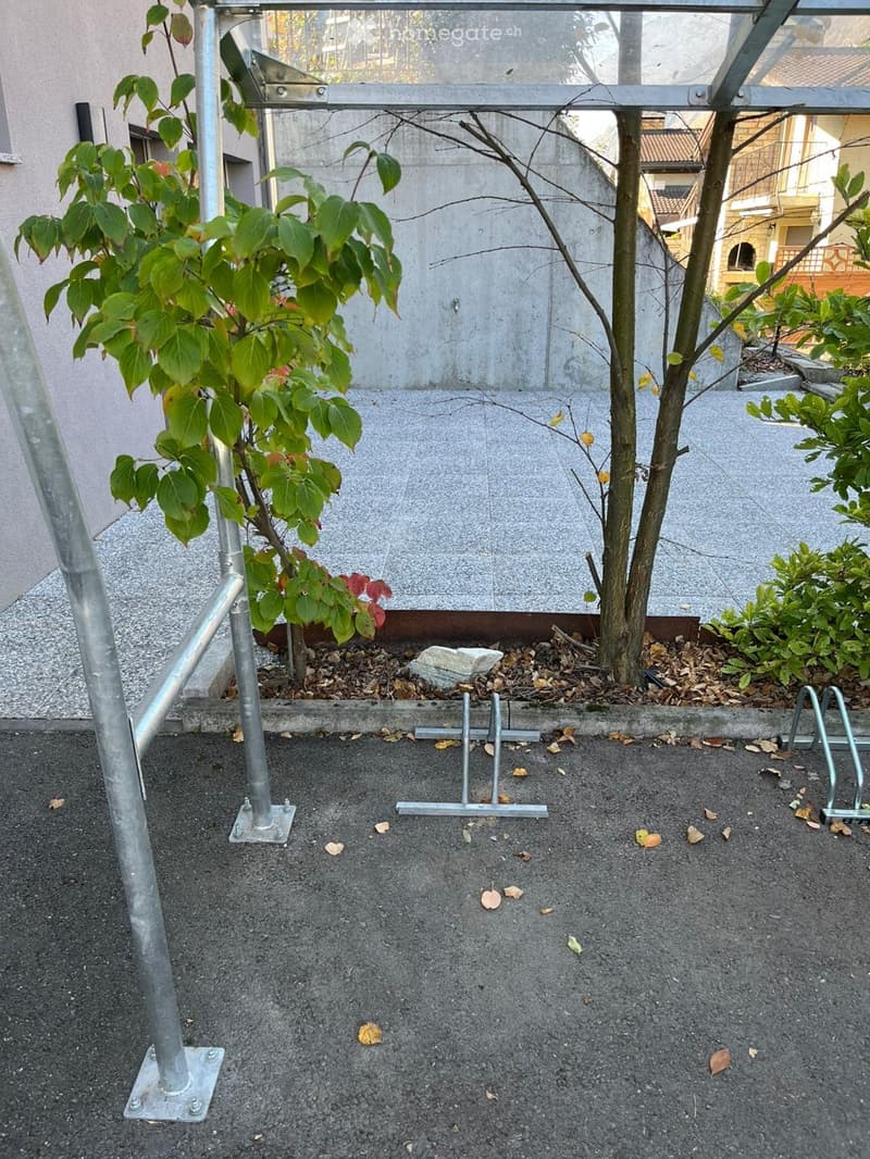 Small outdoor area with concrete floor, metal supports, and a few small plants and trees.